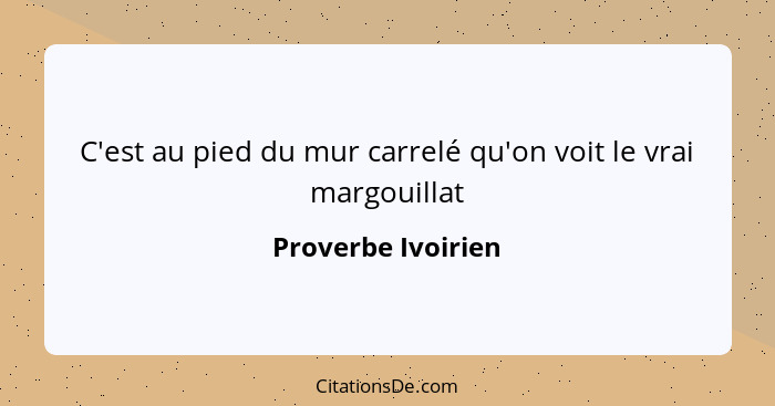 C'est au pied du mur carrelé qu'on voit le vrai margouillat... - Proverbe Ivoirien