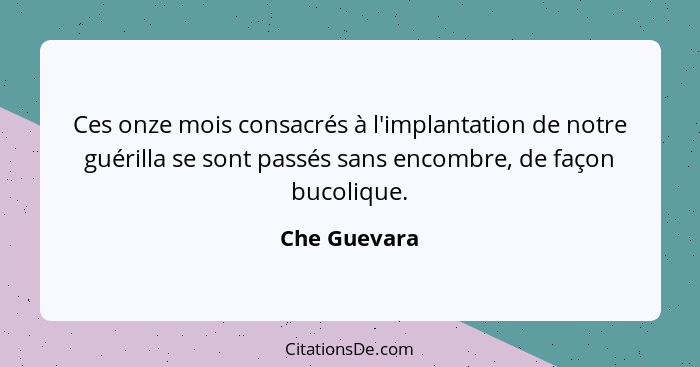 Ces onze mois consacrés à l'implantation de notre guérilla se sont passés sans encombre, de façon bucolique.... - Che Guevara