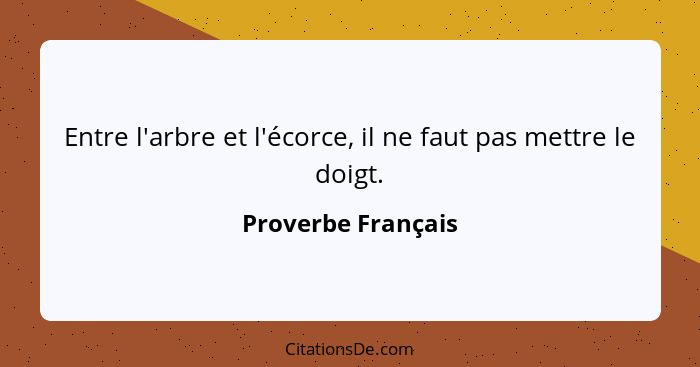 Entre l'arbre et l'écorce, il ne faut pas mettre le doigt.... - Proverbe Français