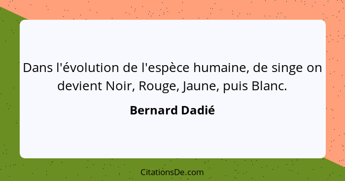 Bernard Dadie Dans L Evolution De L Espece Humaine De Sin