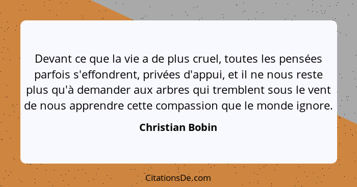 Devant ce que la vie a de plus cruel, toutes les pensées parfois s'effondrent, privées d'appui, et il ne nous reste plus qu'à demand... - Christian Bobin