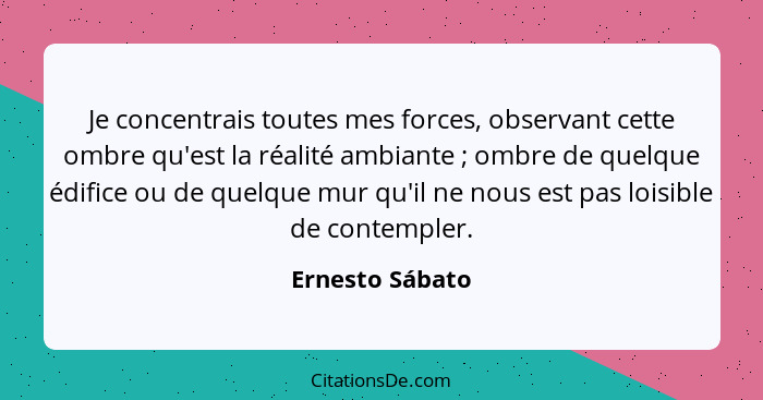 Je concentrais toutes mes forces, observant cette ombre qu'est la réalité ambiante ; ombre de quelque édifice ou de quelque mur... - Ernesto Sábato