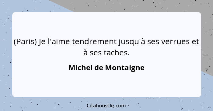 (Paris) Je l'aime tendrement jusqu'à ses verrues et à ses taches.... - Michel de Montaigne