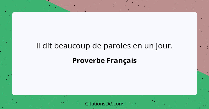 Il dit beaucoup de paroles en un jour.... - Proverbe Français