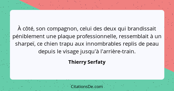 À côté, son compagnon, celui des deux qui brandissait péniblement une plaque professionnelle, ressemblait à un sharpeï, ce chien tra... - Thierry Serfaty