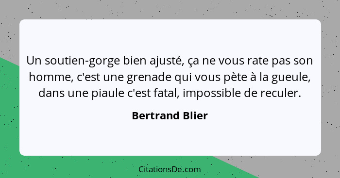 Un soutien-gorge bien ajusté, ça ne vous rate pas son homme, c'est une grenade qui vous pète à la gueule, dans une piaule c'est fatal... - Bertrand Blier