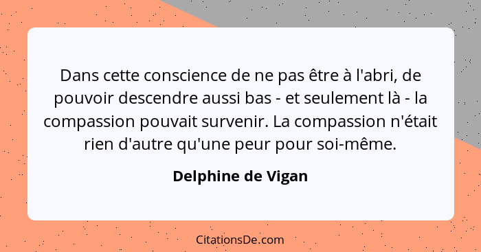 Dans cette conscience de ne pas être à l'abri, de pouvoir descendre aussi bas - et seulement là - la compassion pouvait survenir.... - Delphine de Vigan