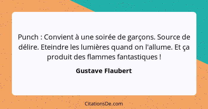 Punch : Convient à une soirée de garçons. Source de délire. Eteindre les lumières quand on l'allume. Et ça produit des flammes... - Gustave Flaubert