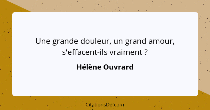 Une grande douleur, un grand amour, s'effacent-ils vraiment ?... - Hélène Ouvrard