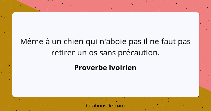 Même à un chien qui n'aboie pas il ne faut pas retirer un os sans précaution.... - Proverbe Ivoirien