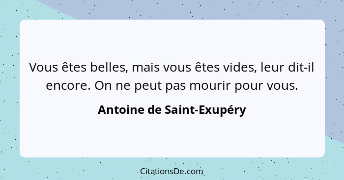 Vous êtes belles, mais vous êtes vides, leur dit-il encore. On ne peut pas mourir pour vous.... - Antoine de Saint-Exupéry