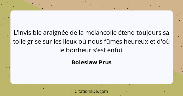 L'invisible araignée de la mélancolie étend toujours sa toile grise sur les lieux où nous fûmes heureux et d'où le bonheur s'est enfui... - Boleslaw Prus