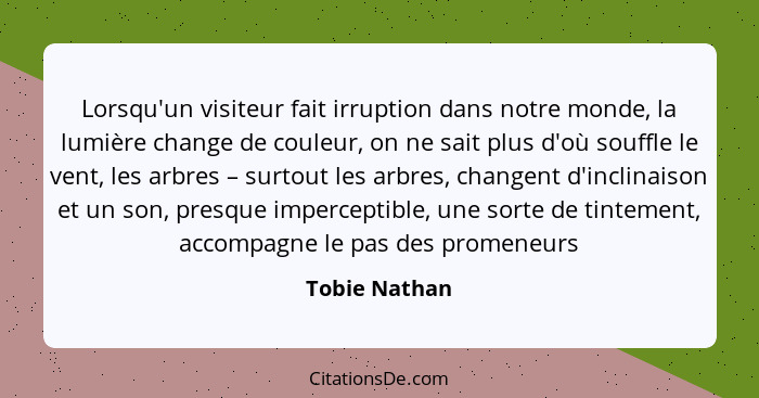 Lorsqu'un visiteur fait irruption dans notre monde, la lumière change de couleur, on ne sait plus d'où souffle le vent, les arbres – su... - Tobie Nathan