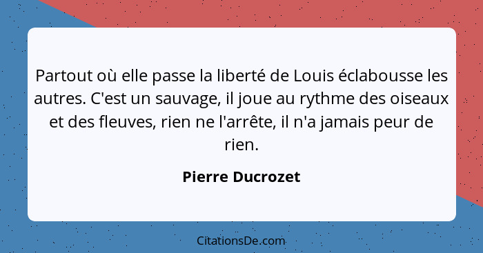 Partout où elle passe la liberté de Louis éclabousse les autres. C'est un sauvage, il joue au rythme des oiseaux et des fleuves, rie... - Pierre Ducrozet