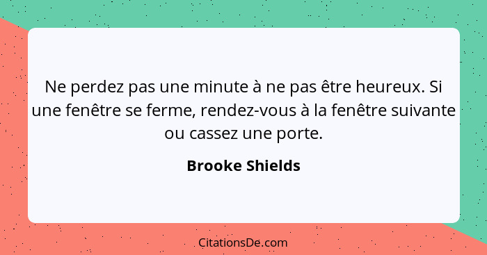 Ne perdez pas une minute à ne pas être heureux. Si une fenêtre se ferme, rendez-vous à la fenêtre suivante ou cassez une porte.... - Brooke Shields