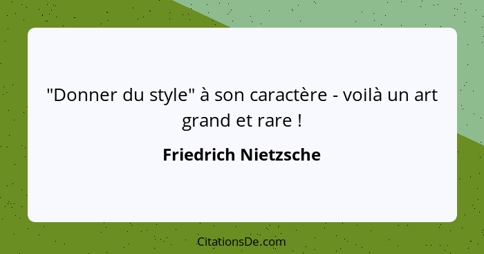 "Donner du style" à son caractère - voilà un art grand et rare !... - Friedrich Nietzsche