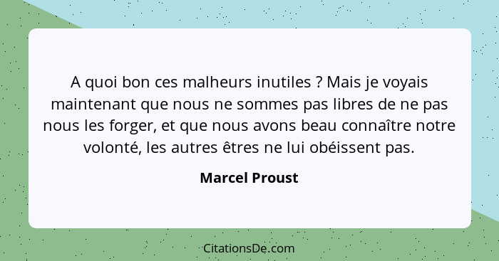 A quoi bon ces malheurs inutiles ? Mais je voyais maintenant que nous ne sommes pas libres de ne pas nous les forger, et que nous... - Marcel Proust