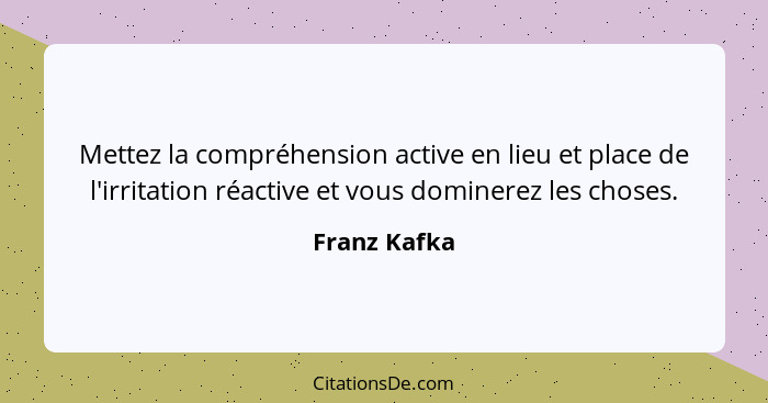 Franz Kafka Mettez La Comprehension Active En Lieu Et Plac