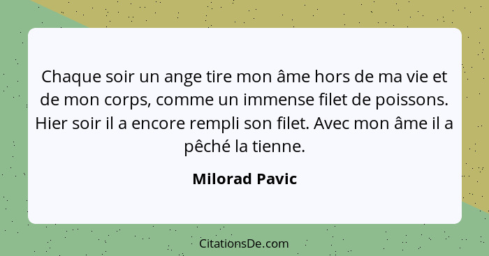 Chaque soir un ange tire mon âme hors de ma vie et de mon corps, comme un immense filet de poissons. Hier soir il a encore rempli son... - Milorad Pavic