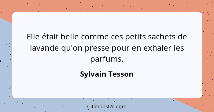 Elle était belle comme ces petits sachets de lavande qu'on presse pour en exhaler les parfums.... - Sylvain Tesson