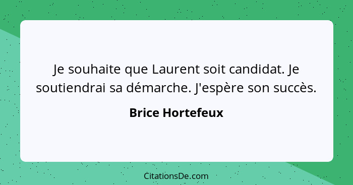 Je souhaite que Laurent soit candidat. Je soutiendrai sa démarche. J'espère son succès.... - Brice Hortefeux