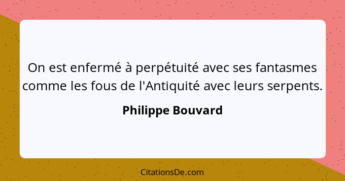 On est enfermé à perpétuité avec ses fantasmes comme les fous de l'Antiquité avec leurs serpents.... - Philippe Bouvard