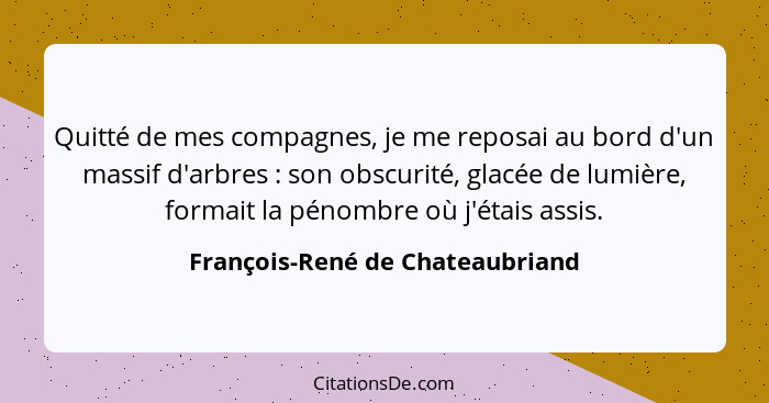 Quitté de mes compagnes, je me reposai au bord d'un massif d'arbres : son obscurité, glacée de lumière, formait... - François-René de Chateaubriand