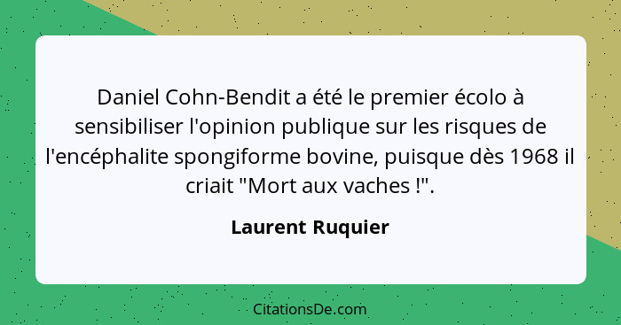 Daniel Cohn-Bendit a été le premier écolo à sensibiliser l'opinion publique sur les risques de l'encéphalite spongiforme bovine, pui... - Laurent Ruquier