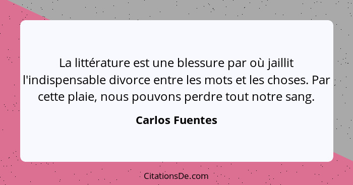 La littérature est une blessure par où jaillit l'indispensable divorce entre les mots et les choses. Par cette plaie, nous pouvons pe... - Carlos Fuentes