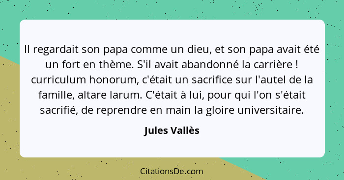 Il regardait son papa comme un dieu, et son papa avait été un fort en thème. S'il avait abandonné la carrière ! curriculum honorum... - Jules Vallès