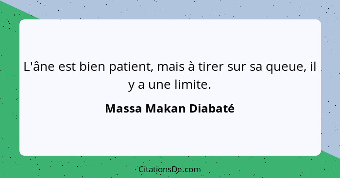 L'âne est bien patient, mais à tirer sur sa queue, il y a une limite.... - Massa Makan Diabaté