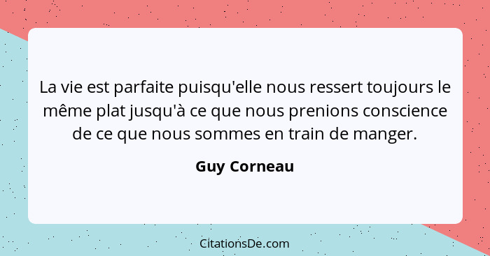 La vie est parfaite puisqu'elle nous ressert toujours le même plat jusqu'à ce que nous prenions conscience de ce que nous sommes en trai... - Guy Corneau