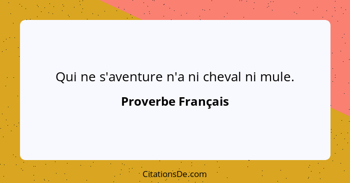 Qui ne s'aventure n'a ni cheval ni mule.... - Proverbe Français