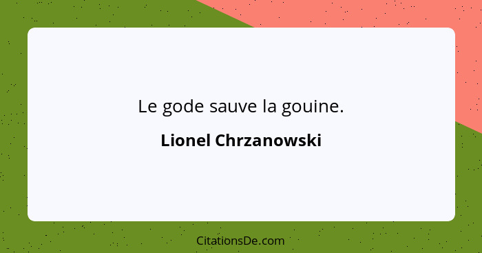 Le gode sauve la gouine.... - Lionel Chrzanowski