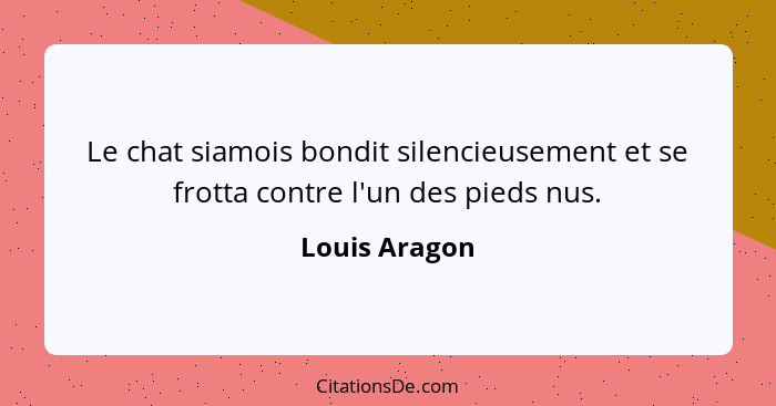 Le chat siamois bondit silencieusement et se frotta contre l'un des pieds nus.... - Louis Aragon