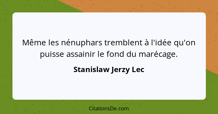 Même les nénuphars tremblent à l'idée qu'on puisse assainir le fond du marécage.... - Stanislaw Jerzy Lec