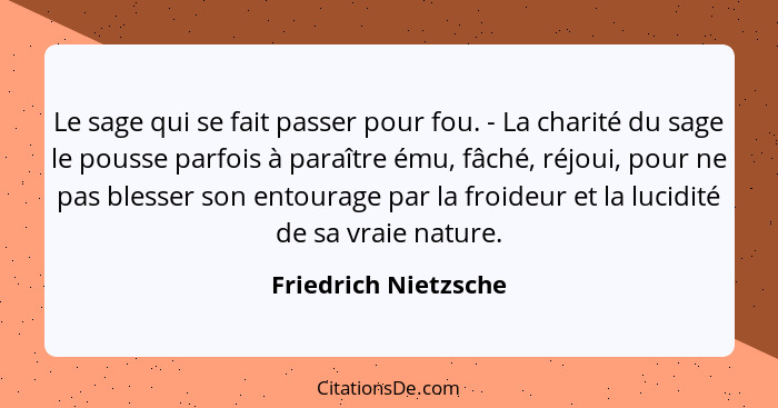 Friedrich Nietzsche Le Sage Qui Se Fait Passer Pour Fou