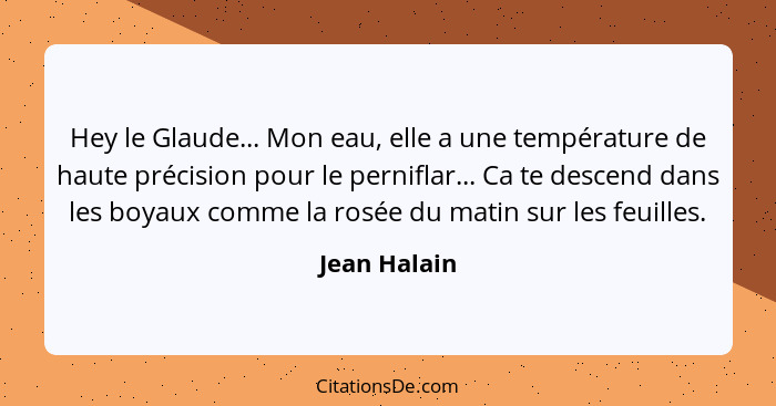 Hey le Glaude... Mon eau, elle a une température de haute précision pour le perniflar... Ca te descend dans les boyaux comme la rosée du... - Jean Halain