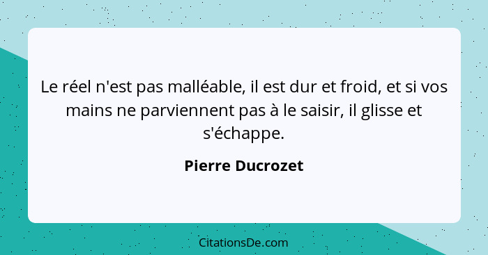 Le réel n'est pas malléable, il est dur et froid, et si vos mains ne parviennent pas à le saisir, il glisse et s'échappe.... - Pierre Ducrozet