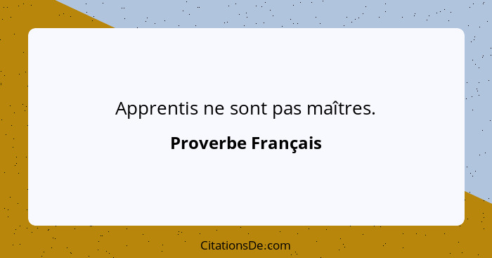 Apprentis ne sont pas maîtres.... - Proverbe Français