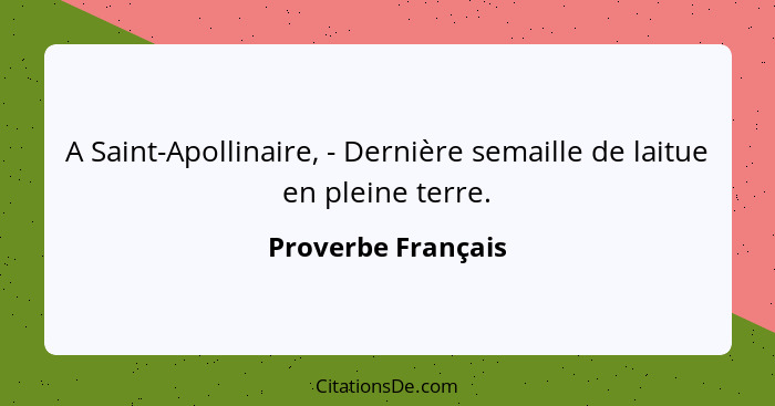 A Saint-Apollinaire, - Dernière semaille de laitue en pleine terre.... - Proverbe Français