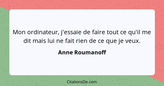 Mon ordinateur, j'essaie de faire tout ce qu'il me dit mais lui ne fait rien de ce que je veux.... - Anne Roumanoff