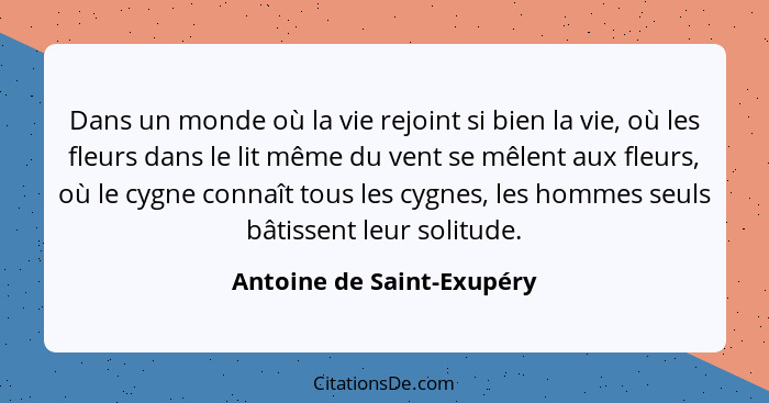 Dans un monde où la vie rejoint si bien la vie, où les fleurs dans le lit même du vent se mêlent aux fleurs, où le cygne co... - Antoine de Saint-Exupéry