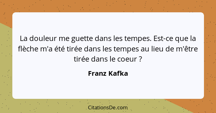 La douleur me guette dans les tempes. Est-ce que la flèche m'a été tirée dans les tempes au lieu de m'être tirée dans le coeur ?... - Franz Kafka