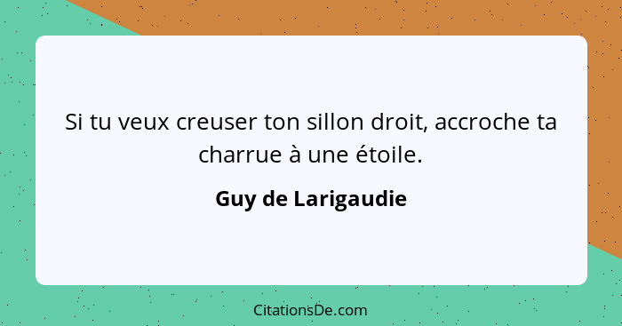 Si tu veux creuser ton sillon droit, accroche ta charrue à une étoile.... - Guy de Larigaudie