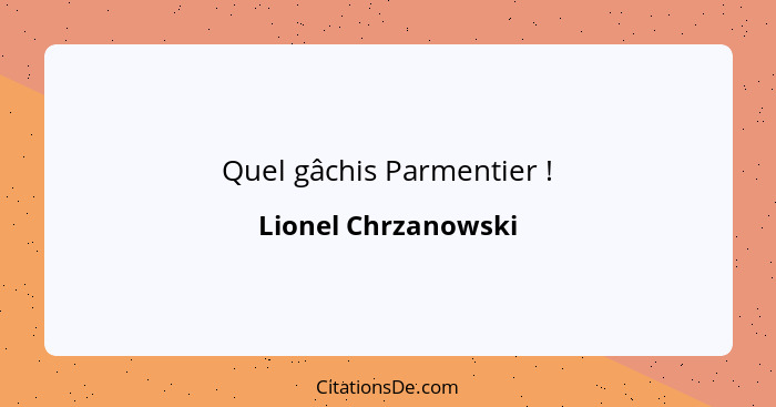 Quel gâchis Parmentier !... - Lionel Chrzanowski