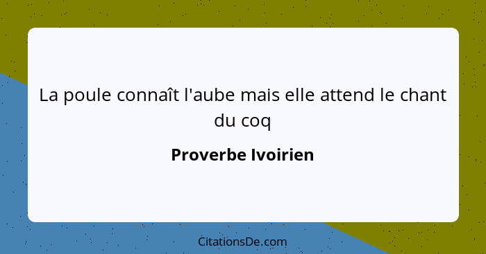 La poule connaît l'aube mais elle attend le chant du coq... - Proverbe Ivoirien