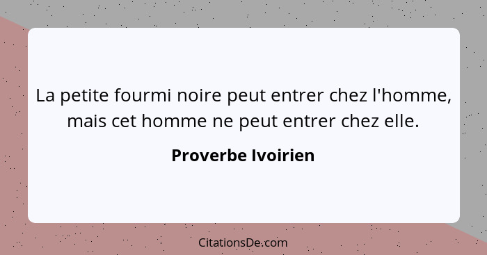 La petite fourmi noire peut entrer chez l'homme, mais cet homme ne peut entrer chez elle.... - Proverbe Ivoirien