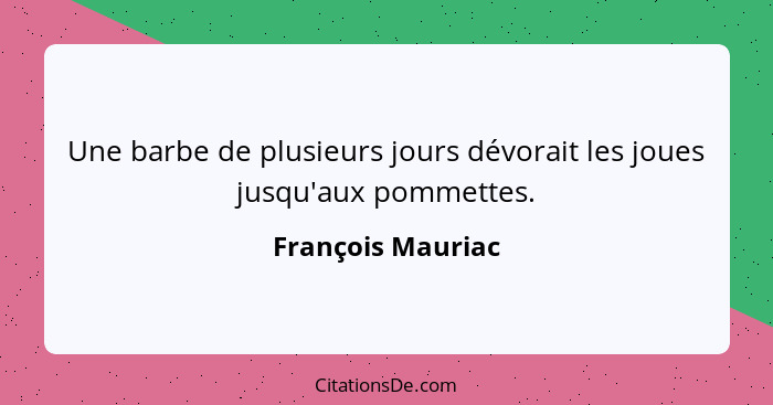 Une barbe de plusieurs jours dévorait les joues jusqu'aux pommettes.... - François Mauriac