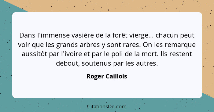 Dans l'immense vasière de la forêt vierge... chacun peut voir que les grands arbres y sont rares. On les remarque aussitôt par l'ivoi... - Roger Caillois